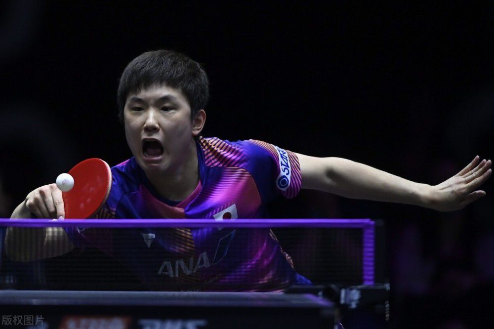 国产一区视频观看
